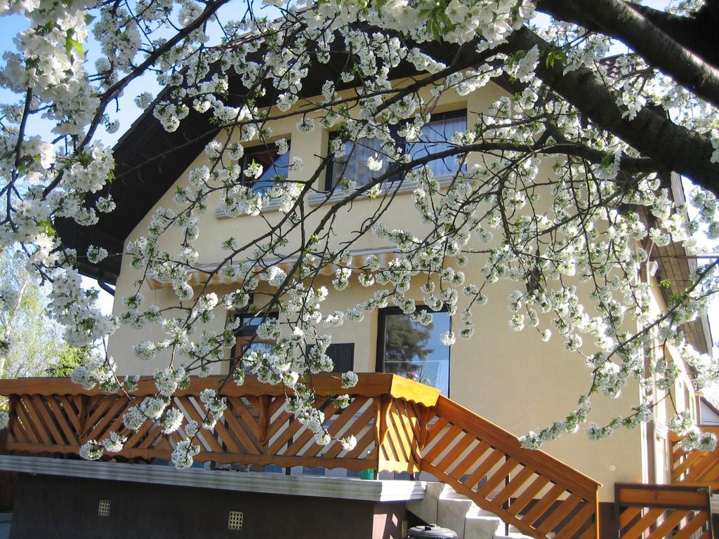 St. Michael Apartman Budapest Exterior photo